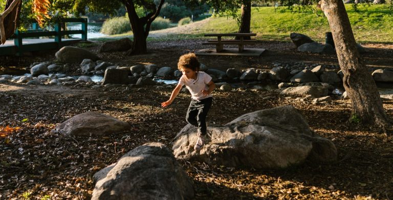 Natural play area managed risk play. Boulders, woodland stream. Safety inspections in Paddockwood Biddenden Bedgebury Flimwell 
