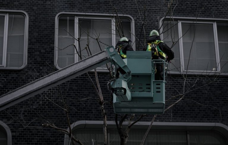 Remote access, MEWP Cherry picker boom scissor lift tree top access climbing gear Arborists Tree inspectors in Flimwell, Bedgebury Kent